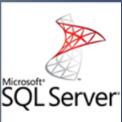 Microsoft SQL Server 2019 Developerİ