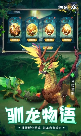 ������(��������˿)