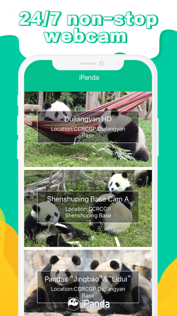 iPanda APP