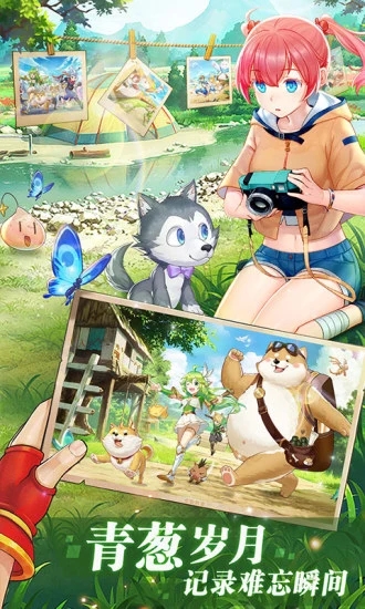 �ʺ���������