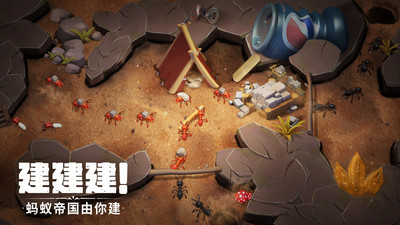 ���������ֻ���