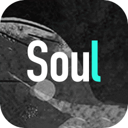 Soul罻 V4.49.0¹ٷ