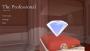 The Professional���°�