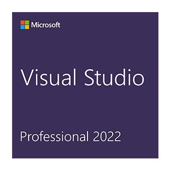 Visual Studio 2022 ҵ/רҵ/()