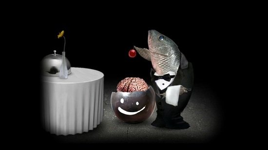 mitoza��Ϸ�ֻ���