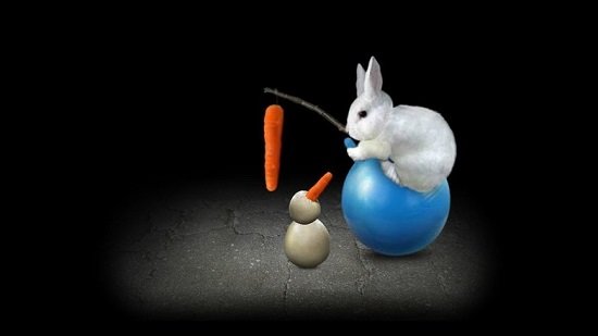 mitoza��Ϸ�ֻ���