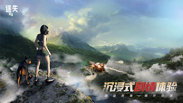 ��ʧε���ֻ���