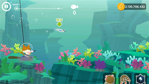 ��׽���è���޽�Ұ�