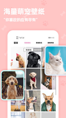 PetԷAPP