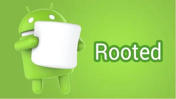 Root_ֻRoot_һRoot[ѡ2023]