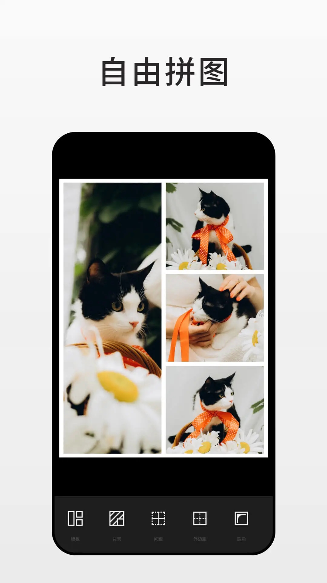 FotorƬ༭APP