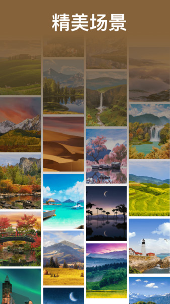 ���ĳ�������������