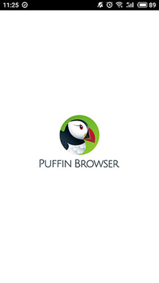 puffinʰ2024°