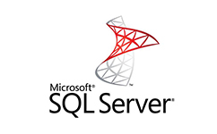 SQL Serverٷ v2.0.24.İ